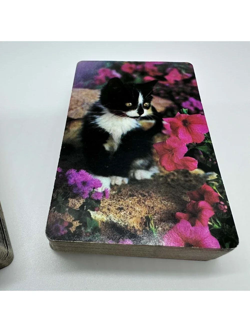 Hallmark Kitten Playing Cards 2 Complete Decks Cat Design Clear Case EUC